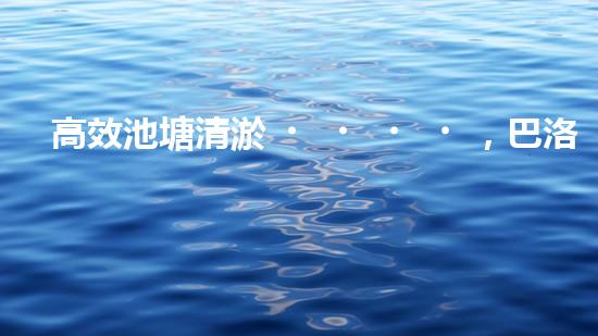 高效池塘清淤，巴洛仕設(shè)備助您一臂之力